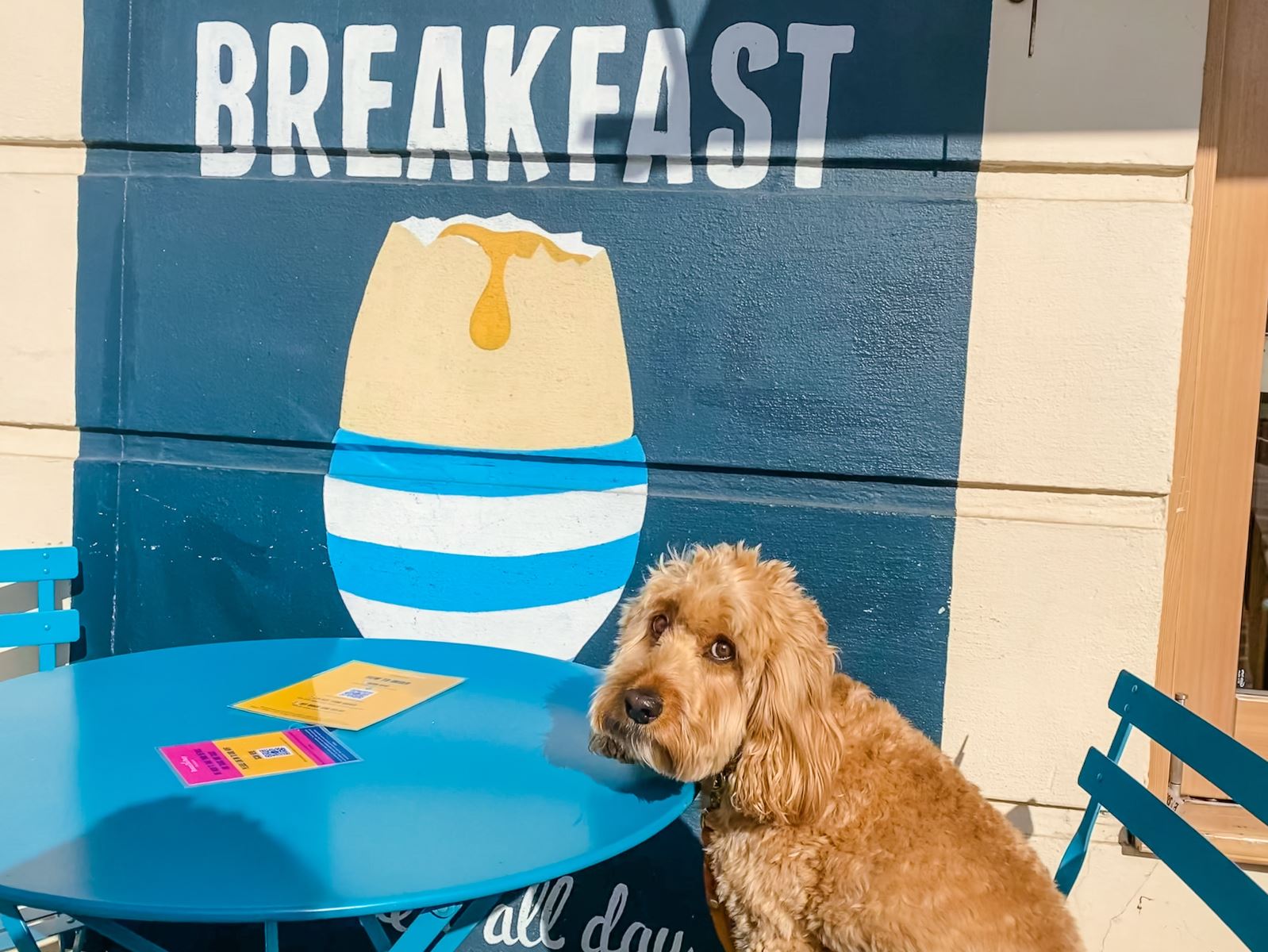 Boston Tea Party - Dog friendly cafes Cheltenham 