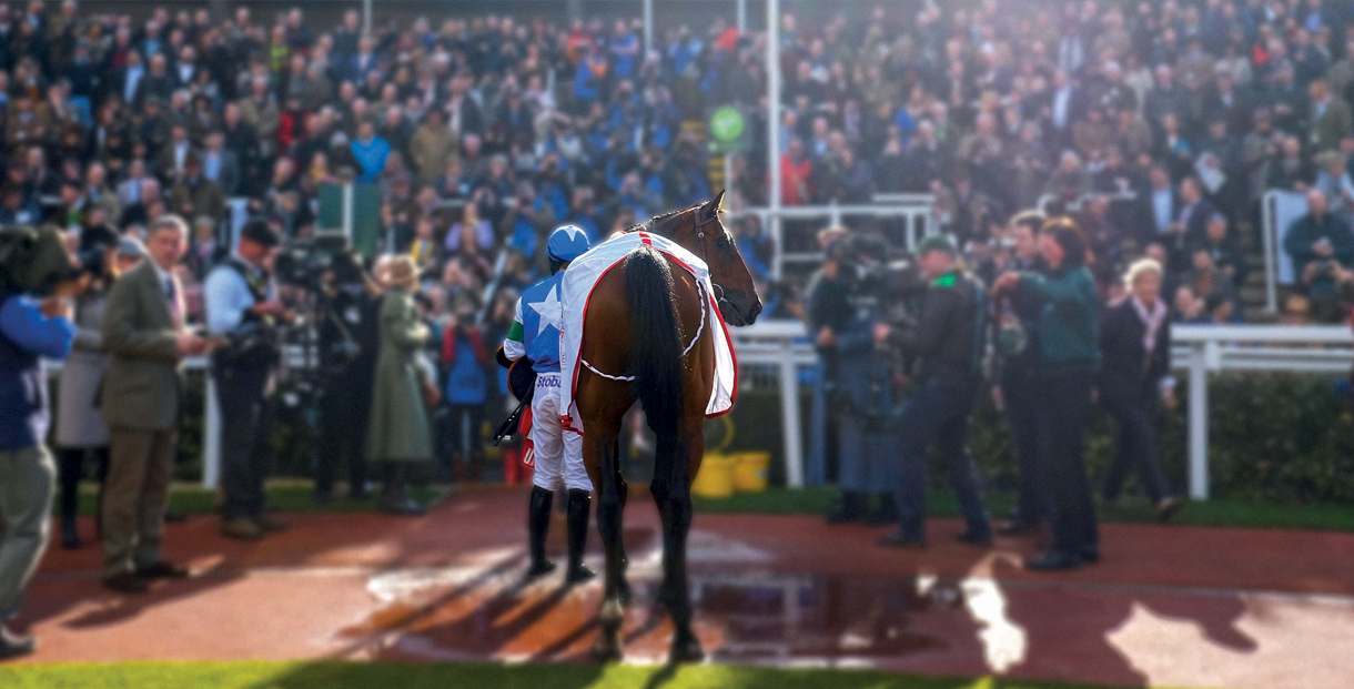 Jokey with horse stood in front of crowd at Cheltenham Racecourse