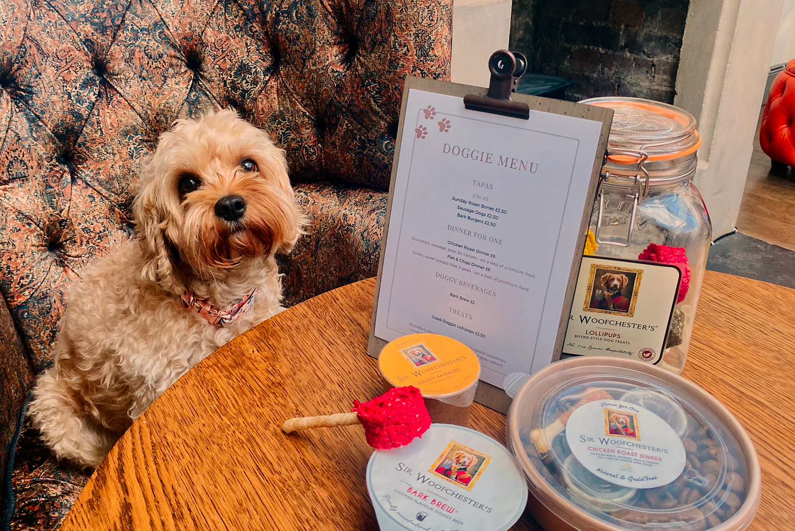 A dog sat at a table surrounded by treats