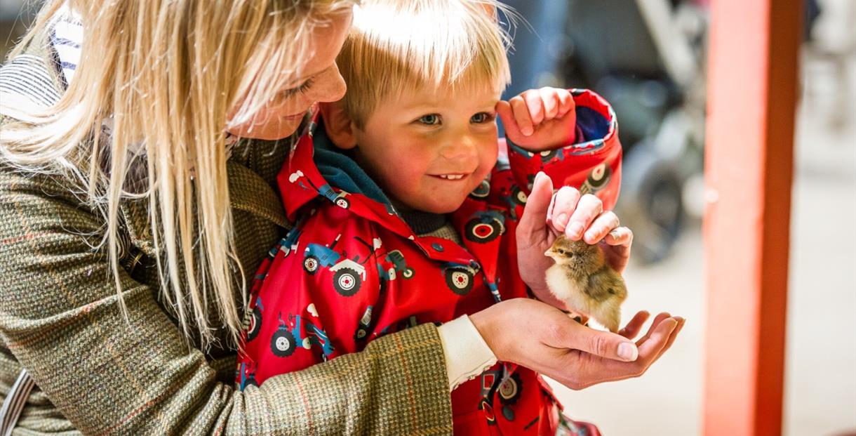 Child and mother meeting a chick