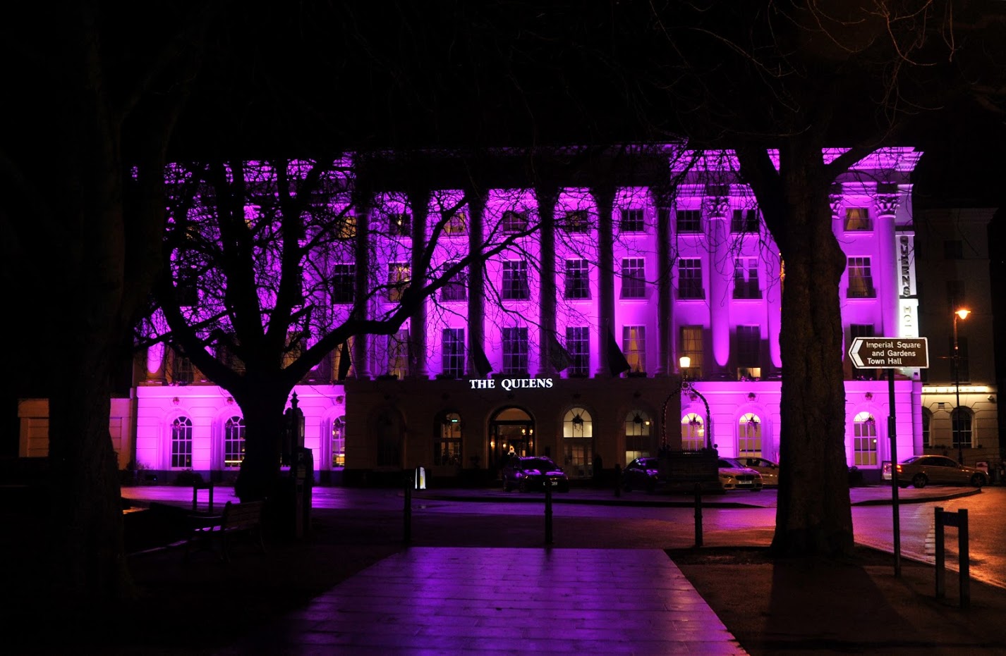 Illuminated Queen's Hotel in purple through branches of tree