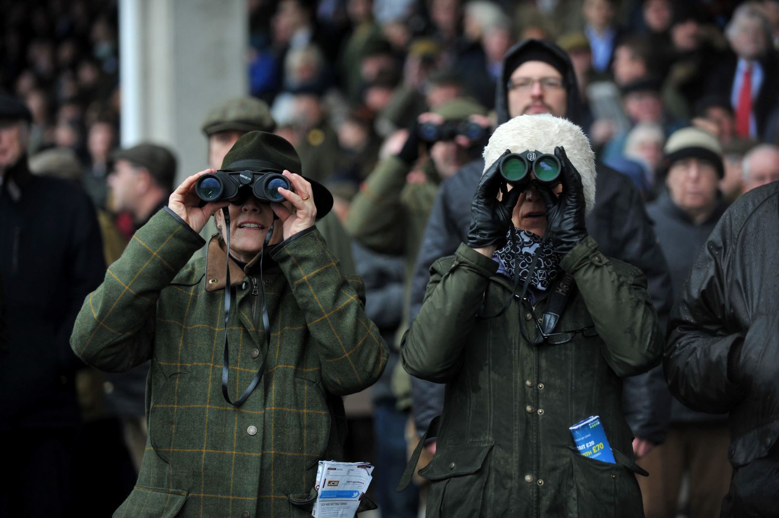 Spectators looking through binoculars at Cheltenham Races