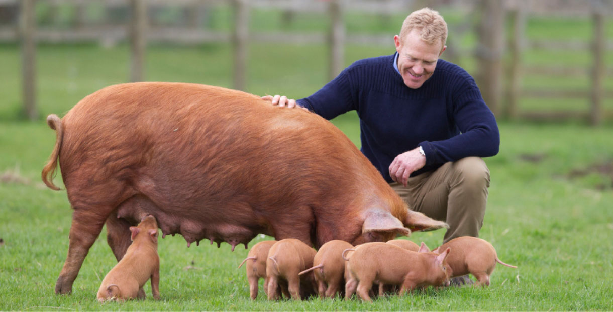 Adam Henson, Cotswold Farm Park