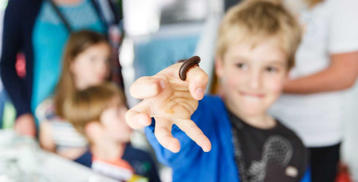 Cheltenham Science Festival