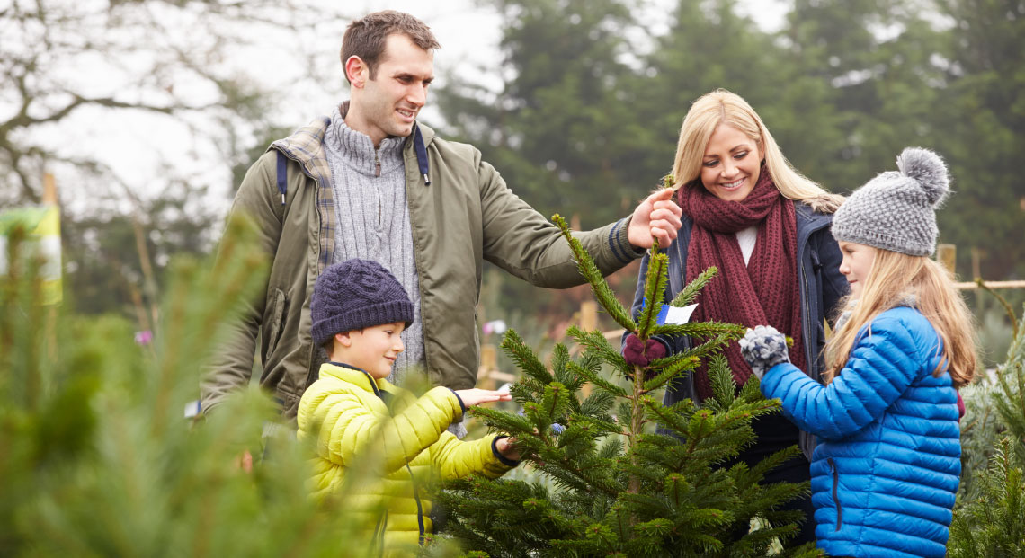 Family choosing Christmas tree