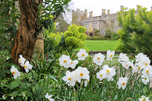 Spring at Sudeley Castle