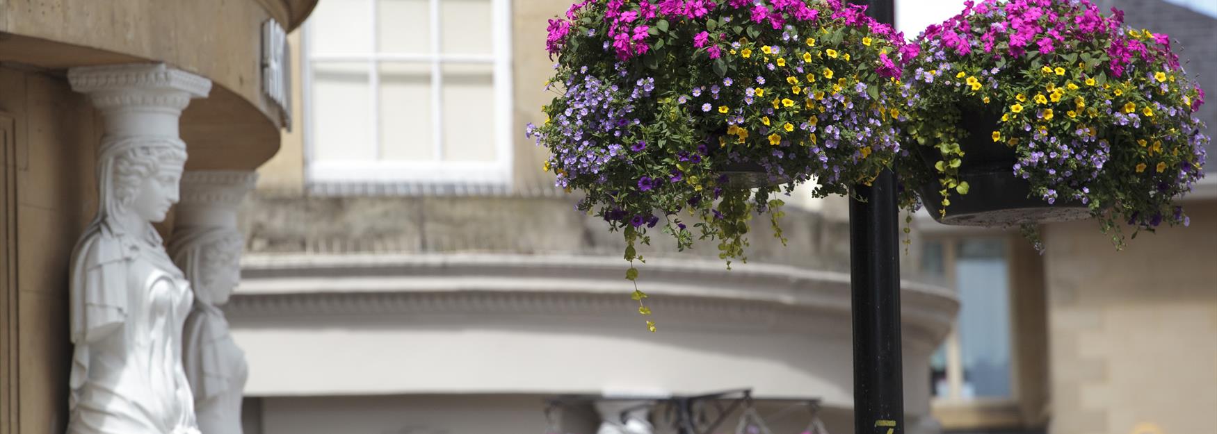 Picture of Regency Buildings in Cheltenham