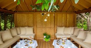 The hide