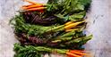 Freshly picked carrots and beetroot