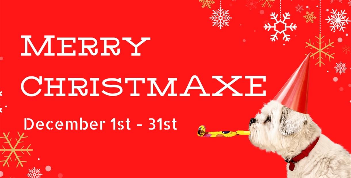 Poster for Merry ChristmAxe with dog blowing a party blower