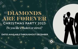 Diamonds Are Forever Poster