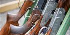 Guns