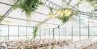 The Orangery event space at Sudeley Castle
Credit: @cristinailaophoto