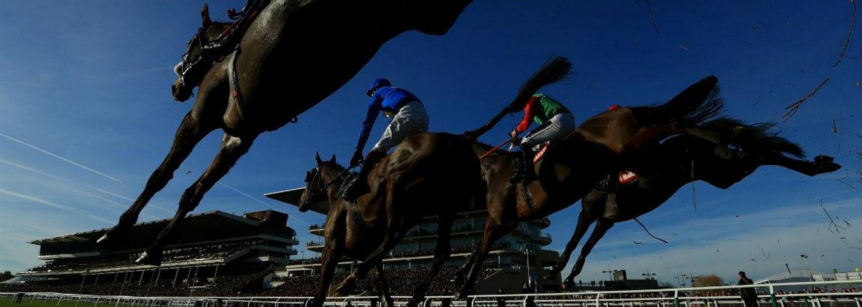 Close up of horses jumping a fence at Cheltenham racecourse